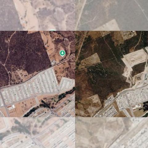 Nuevo fraccionamiento arrasa con 30 hectáreas de suelo forestal en San Francisco de los Romo 