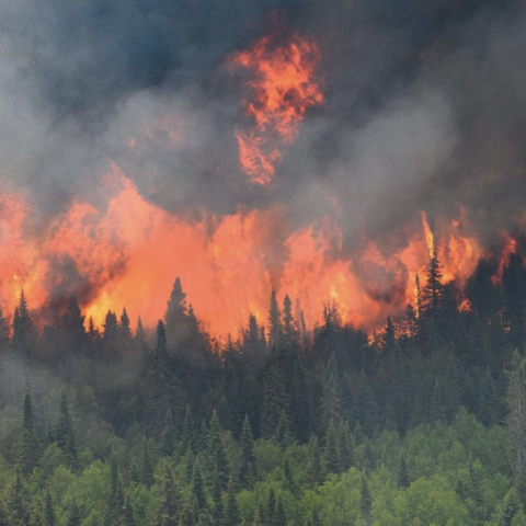 Ejército de Canadá evacúa a 600 personas por incendios forestales que afectan calidad del aire en EU