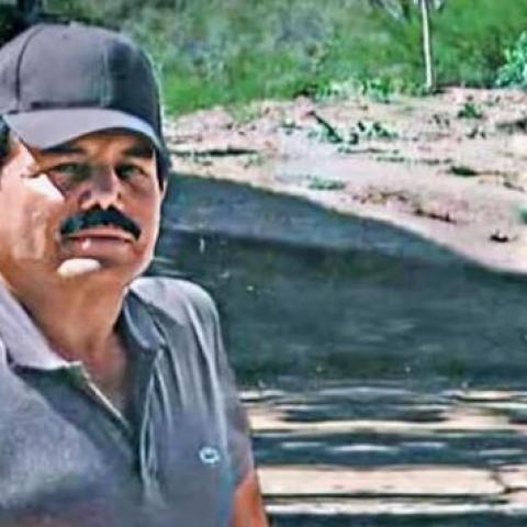 "El Mayo" Zambada