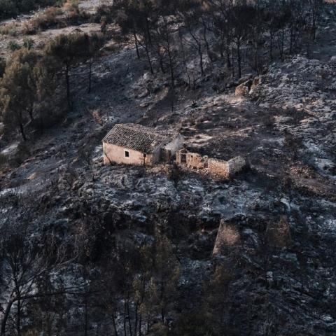 Incendio forestal