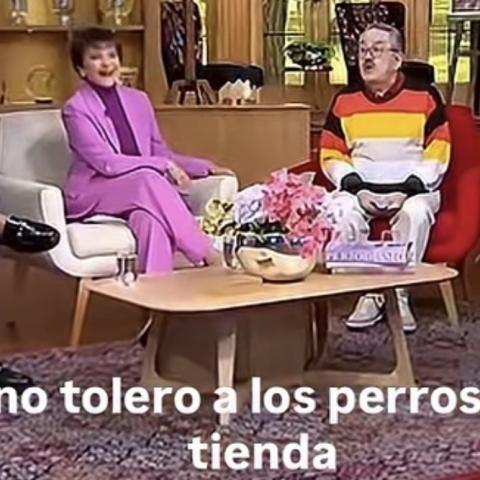 Pedro Sola en la polémica por decir al aire que no soporta a los perros y que le dan ganas de envenenarlos