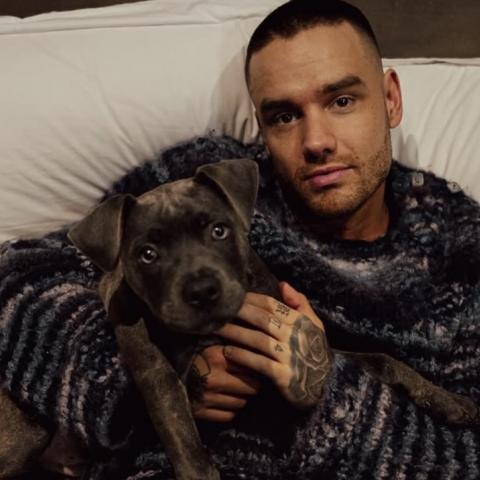 Amigo de Liam Payne queda exonerado en el caso por la muerte del cantante