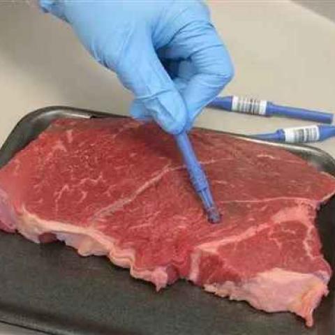 carne contaminada con clembuterol