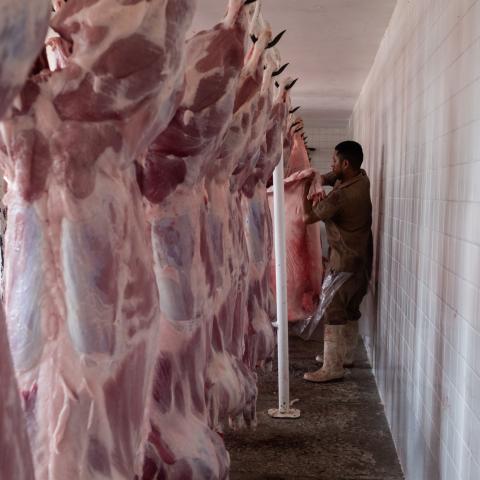 CARNE CONTAMINADA 