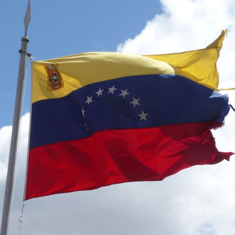 Bandera de Venezuela 