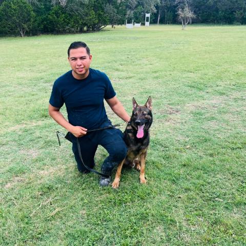 Policías del Grupo K9 se capacitan en Texas; fortalecerán la seguridad con nuevos binomios especializados