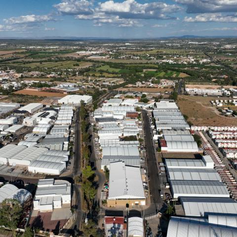Aguascalientes registra crecimiento en inversión extranjera durante el primer trimestre