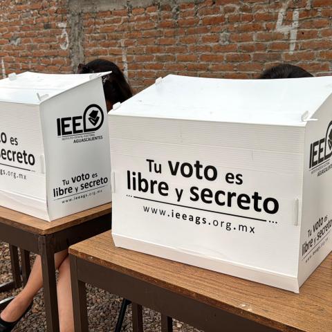 Retrógrada y reprobable, como califica Morena planteamiento de voto por familia 