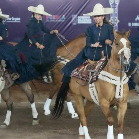 Palomas de Aguascalientes