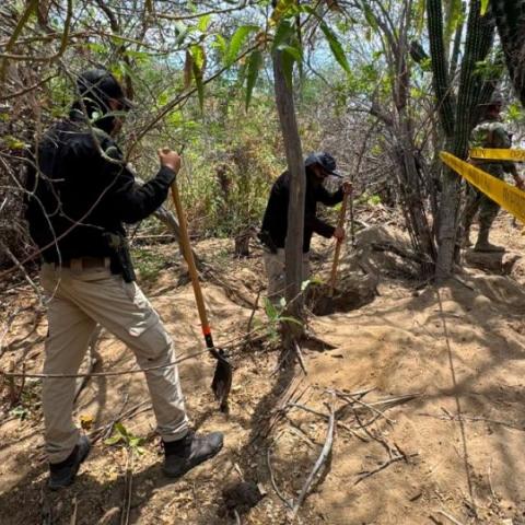 Buscadoras y autoridades hallan cinco fosas clandestinas en Baja California Sur;