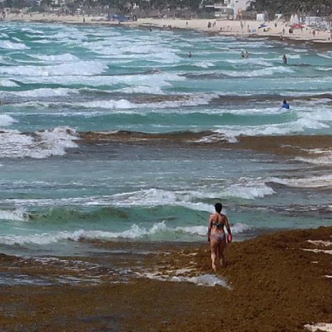 Gobierno crea fondo ambiental de 10 mdd para restaurar ecosistemas