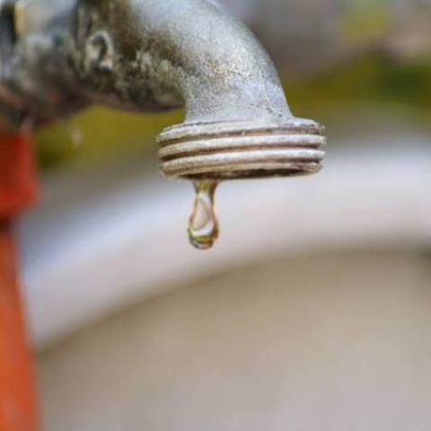 falta de agua