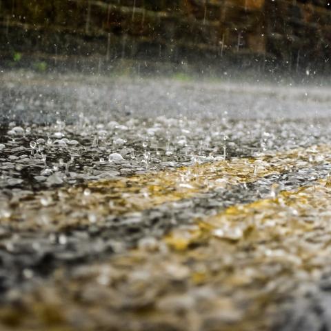 Pérdida de 30 MDP y 150 negocios afectados: El balance hasta el momento de las lluvias