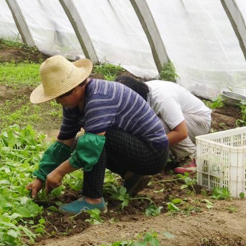 Piden agroempresarios que campo sea prioridad en negociaciones de TMEC