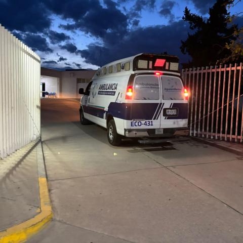 Violencia 