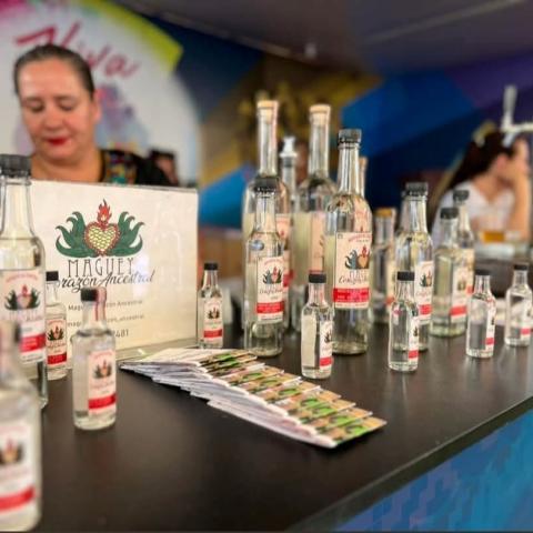 Aguascalientes participará en el Festival de Ciudades Hermanas de Zacatecas 2026