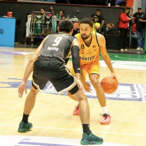 PANTERAS VS ABEJAS 2026