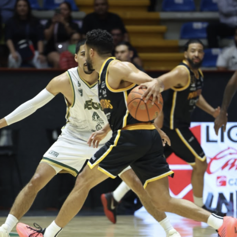 PANTERAS VS ABEJAS 2026