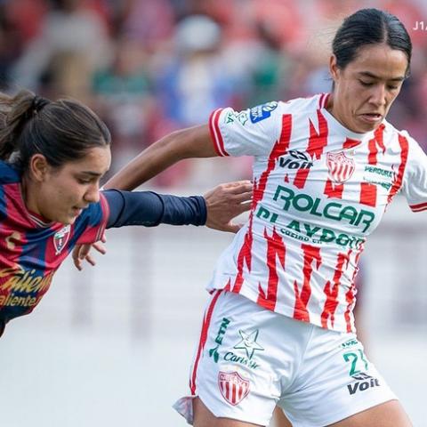 Centellas del Necaxa