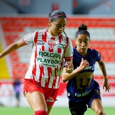 Centellas del Necaxa