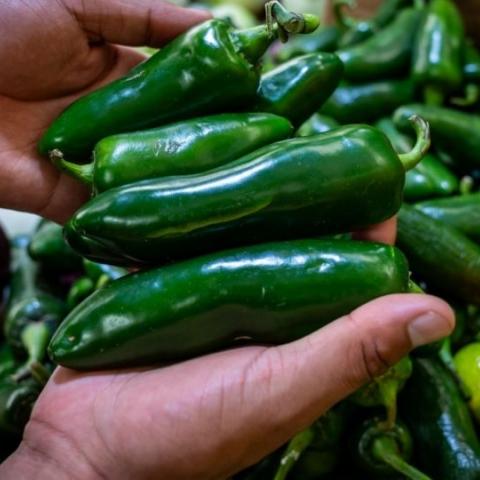 Cofepris descarta presencia de salmonela en chiles jalapeños mexicanos