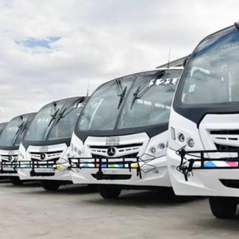 Nuevos autobuses 