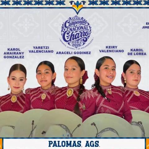 ESCARAMUZAS AGS