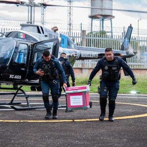 Traslada Halcón 1 un hígado de Tepic a Aguascalientes para paciente en espera de trasplante