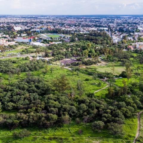 4to Informe de Tere Jiménez: Aguascalientes fortalece acciones de cuidado del medio ambiente