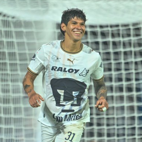 Pumas