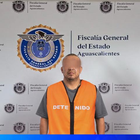 distribuidor 