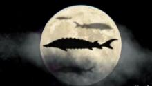 Luna de Asturión