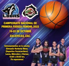 Try Out Lobas