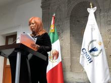 Rosario Piedra Ibarra 
