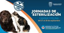 ISSEA efectúa última jornada de esterilización de la presente administración