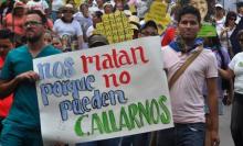 ambientalistas