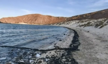 Playa Balandra 