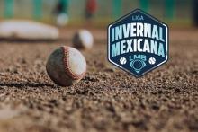Liga Invernal Mexicana