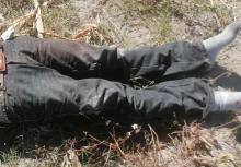 Fue localizado en un camino de terracería y el cuerpo presenta varios impactos en la cabeza
