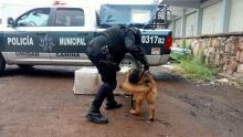 Aseguramiento 