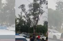 Balacera en Ecatepec 