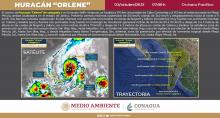 Orlene 