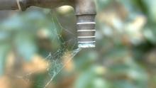 agua