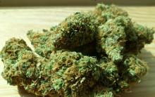 marihuana