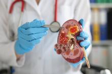 Insuficiencia Renal