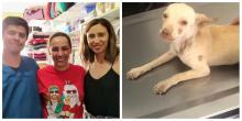 Consuelo Duval acudió a Peek Estética Canina en Aguascalientes