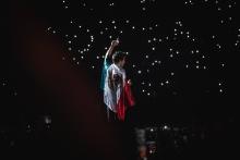 harry styles