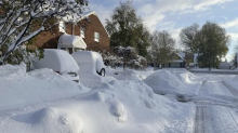 ny nieve