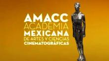 premios ariel