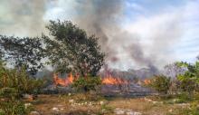 Incendios 